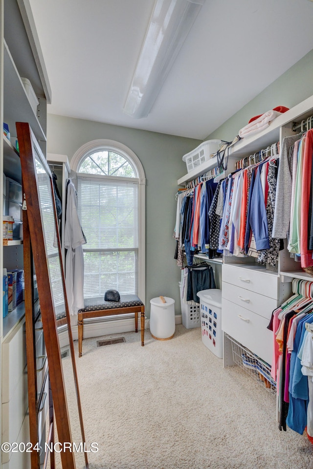 walk in closet featuring carpet floors