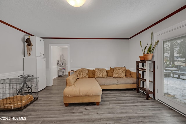 living room featuring crown molding, plenty of natural light, light hardwood / wood-style floors, and a textured ceiling