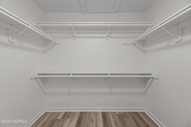 spacious closet with dark hardwood / wood-style flooring