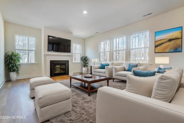 living room featuring light hardwood / wood-style floors and a healthy amount of sunlight