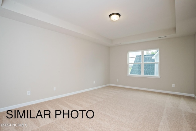 carpeted spare room with a raised ceiling