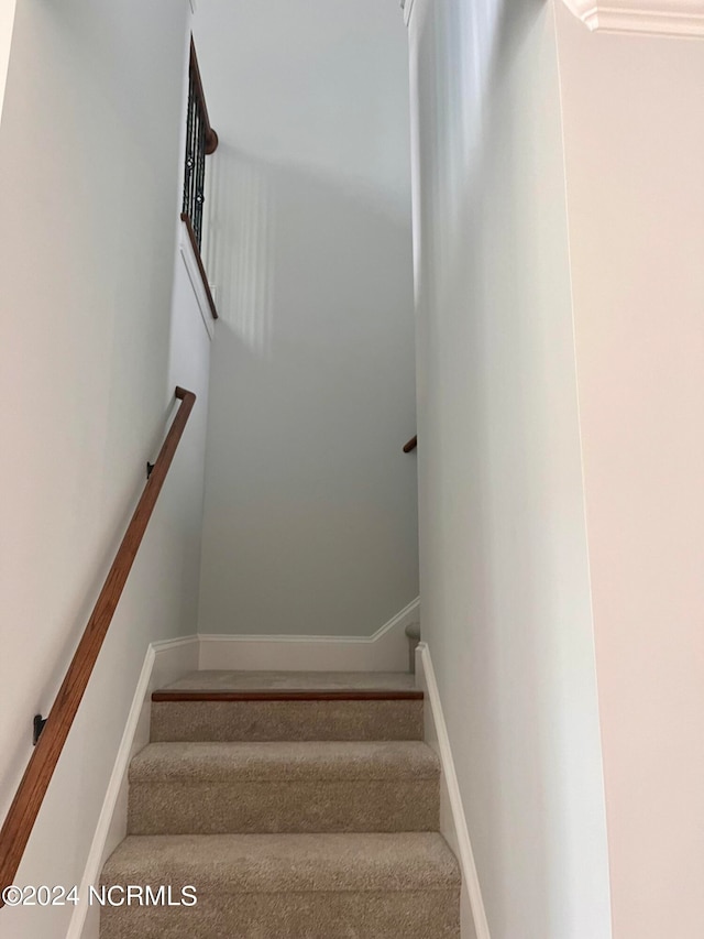 staircase featuring carpet flooring