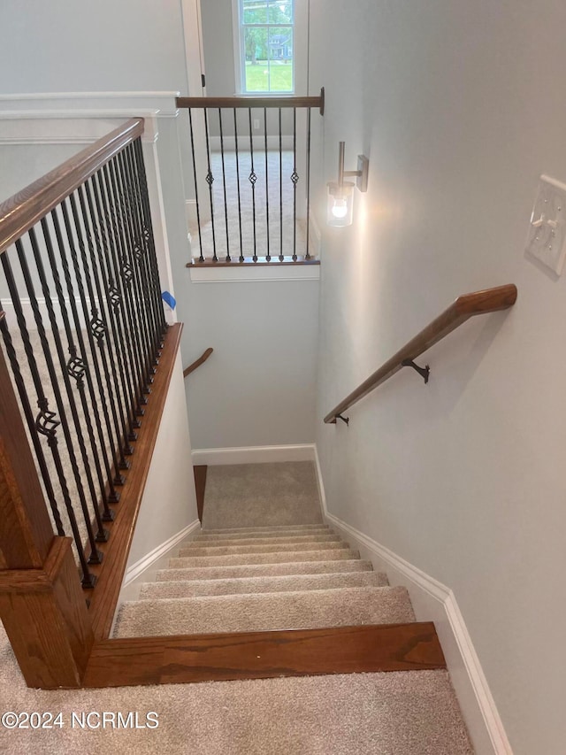 staircase featuring carpet