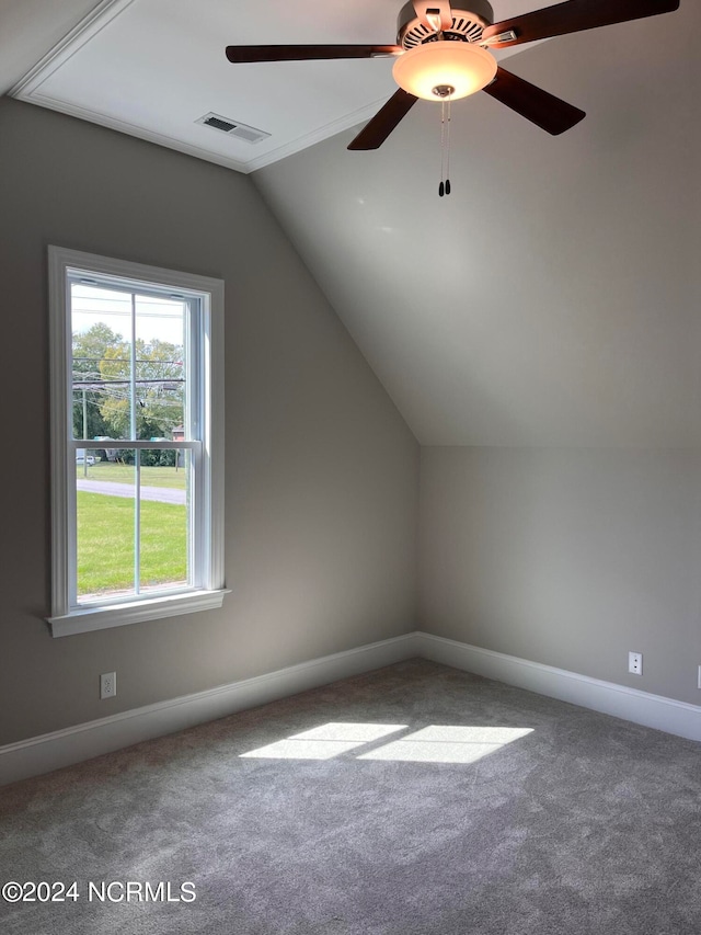 bonus room featuring vaulted ceiling and carpet