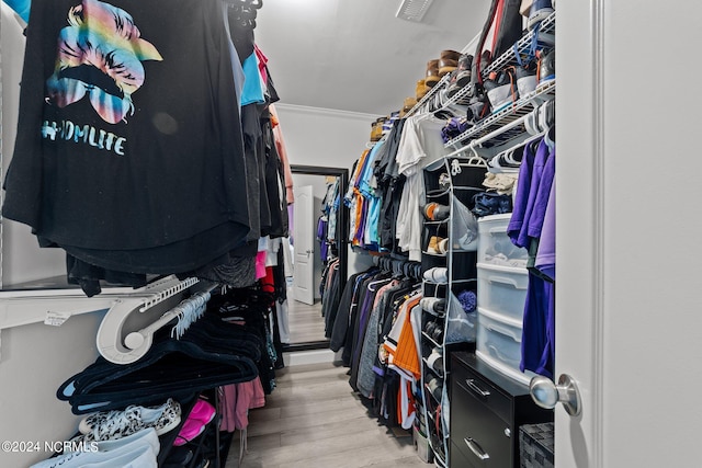 walk in closet featuring light hardwood / wood-style floors