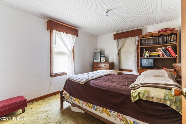 bedroom with carpet