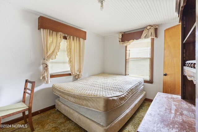 bedroom featuring dark carpet and multiple windows