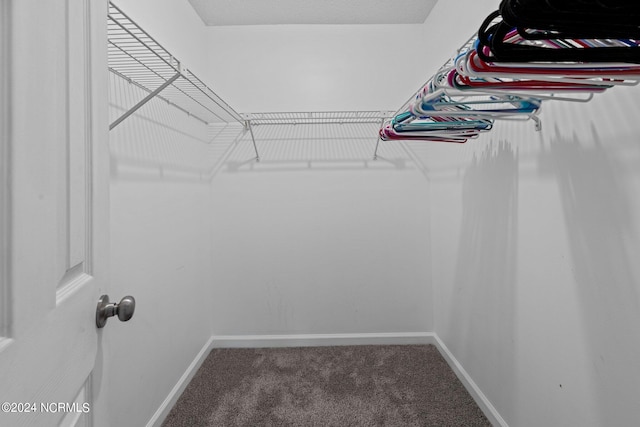 spacious closet featuring carpet flooring