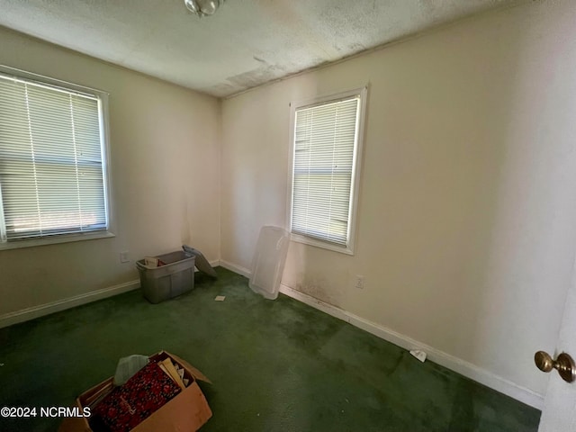 carpeted spare room featuring a textured ceiling and a healthy amount of sunlight