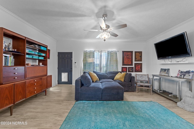 living room with a textured ceiling, light hardwood / wood-style floors, ceiling fan, and ornamental molding