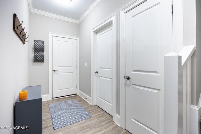 interior space featuring light wood-type flooring and crown molding