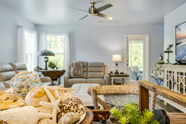 living room featuring ceiling fan and a healthy amount of sunlight