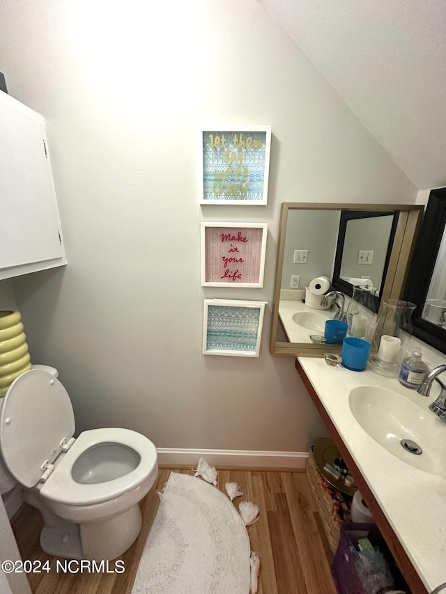 bathroom with vanity, hardwood / wood-style floors, and toilet