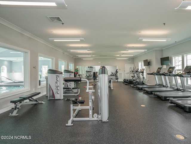 exercise room featuring a healthy amount of sunlight and crown molding