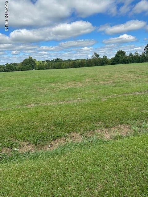 2900 Smyrna Rd, Whiteville NC, 28472 land for sale