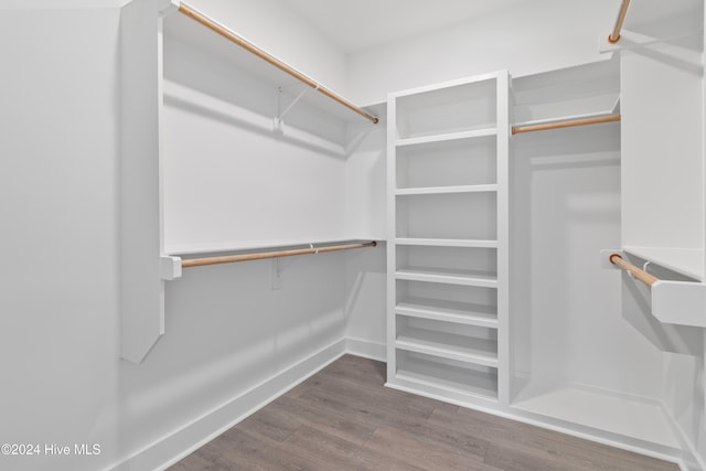 spacious closet featuring wood-type flooring