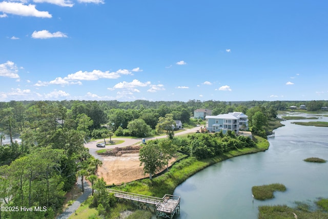 1655 Old Salt Run SW Unit L-45, Shallotte, NC 28470 - bird's eye view of a large body of water