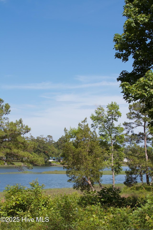 1655 Old Salt Run SW Unit L-45, Shallotte, NC 28470 - water view