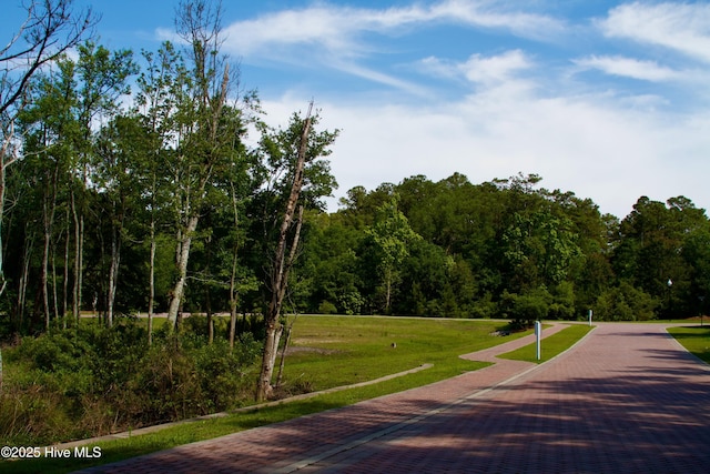 1655 Old Salt Run SW Unit L-45, Shallotte, NC 28470 - surrounding community with a yard and a wooded view