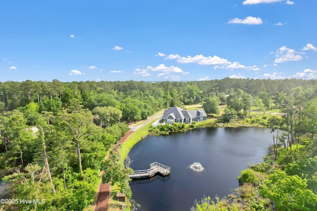 1655 Old Salt Run SW Unit L-45, Shallotte, NC 28470 - drone / aerial view of a forest and a large body of water