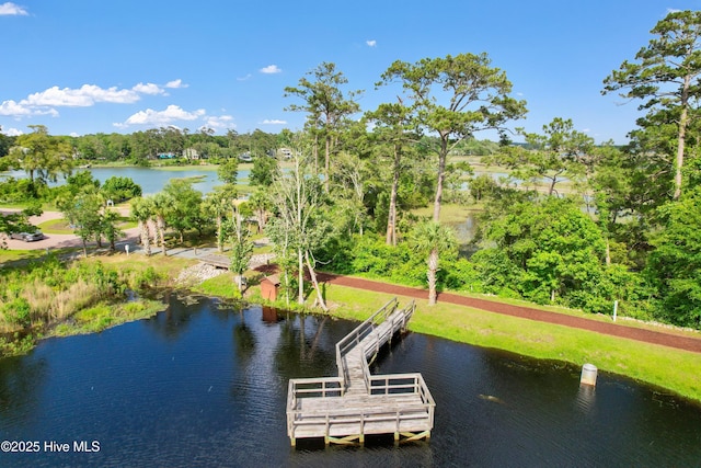 1655 Old Salt Run SW Unit L-45, Shallotte, NC 28470 - dock featuring view of scattered trees and a water view