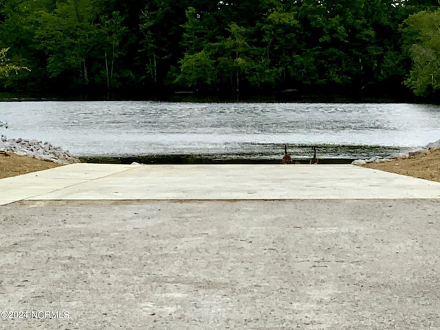 1005 Sunnybrook Rd S, Wilson, NC 27893 - exterior space featuring a water view and a wooded view