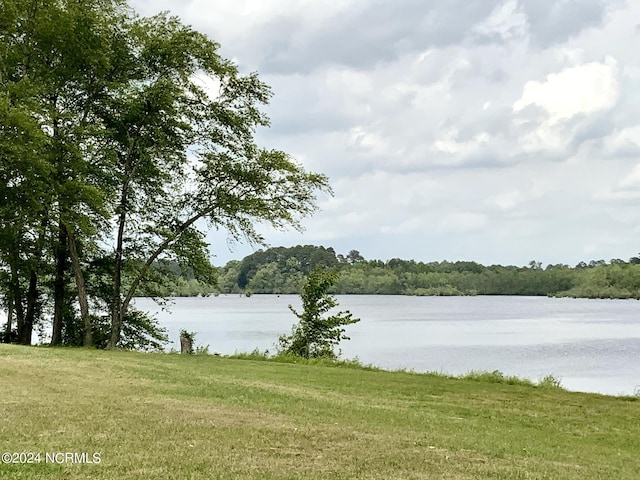 1005 Sunnybrook Rd S, Wilson, NC 27893 - view of water feature with a wooded view