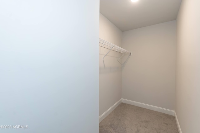 walk in closet featuring light carpet