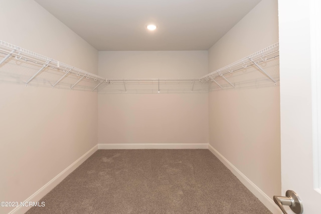 spacious closet with carpet