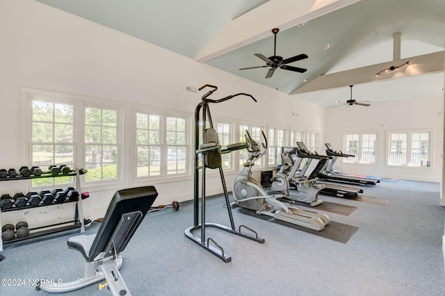 gym with ceiling fan, carpet floors, and high vaulted ceiling