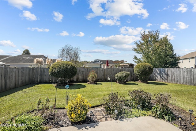 view of yard with a fenced backyard