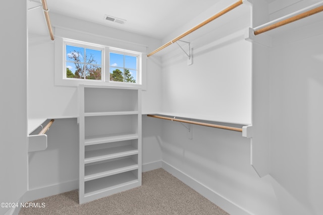 walk in closet featuring carpet floors