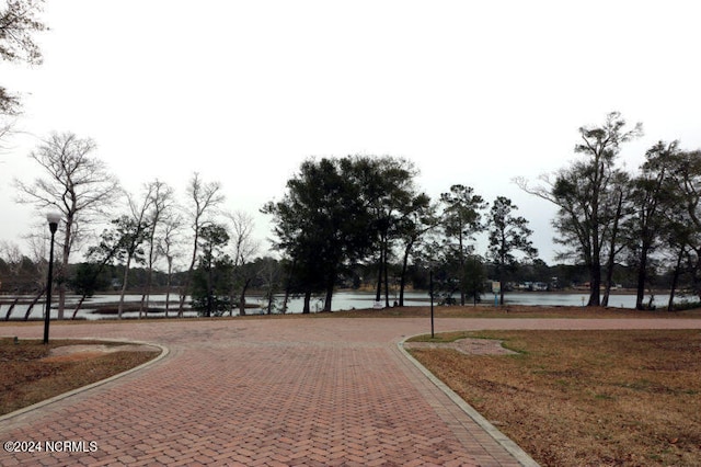 view of community