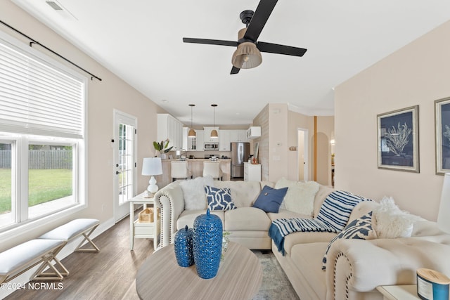 living room featuring ceiling fan, a healthy amount of sunlight, and light wood-type flooring