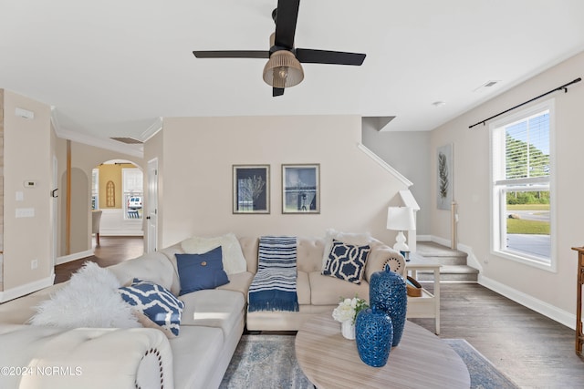 living room featuring dark hardwood / wood-style floors, ceiling fan, and crown molding