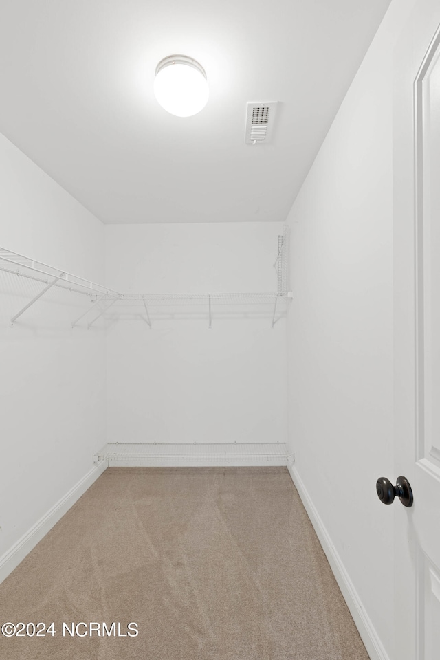 walk in closet with light carpet