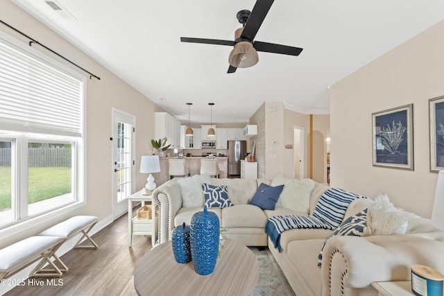 living room with ceiling fan, a healthy amount of sunlight, and light hardwood / wood-style floors