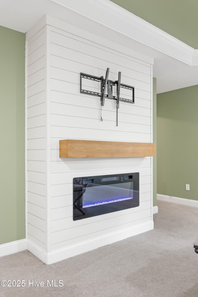 details featuring carpet floors and a fireplace