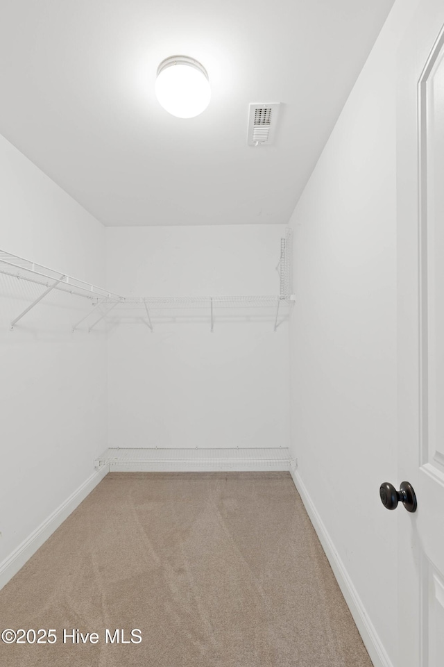 spacious closet with light colored carpet