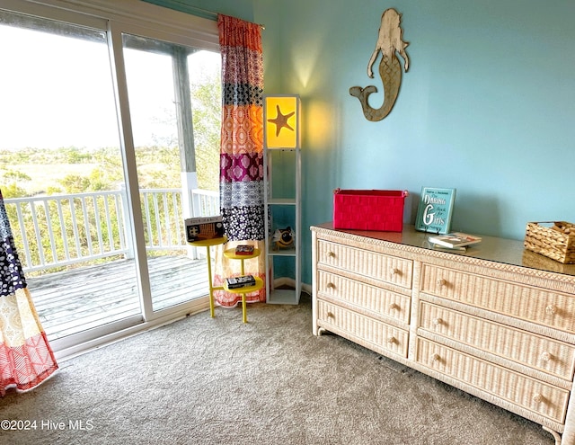 interior space with carpet floors