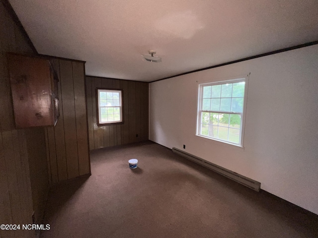 205 E Pinewood St, Roseboro, NC 28382 - carpeted empty room with wood walls and baseboard heating
