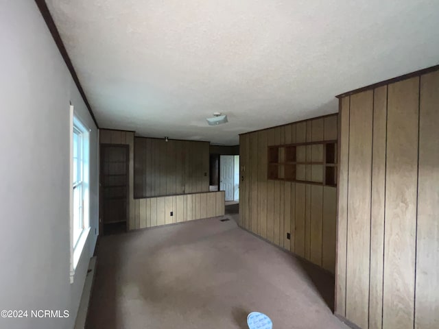 empty room featuring light carpet, wood walls, and baseboard heating