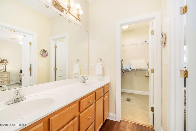 bathroom featuring wood-type flooring and vanity