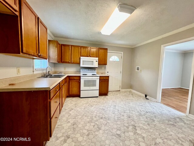 empty room featuring ceiling fan, light hardwood / wood-style floors, ornamental molding, and a wealth of natural light