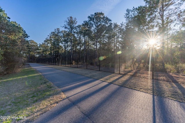 910 Old Dow Rd, Carolina Beach, NC 28428 - view of street
