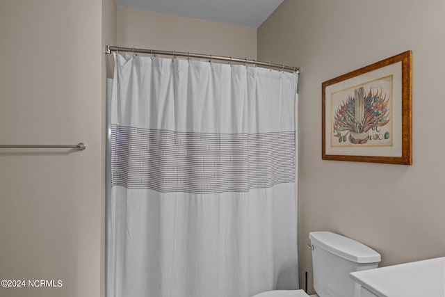 bathroom featuring vanity, toilet, and a shower with shower curtain