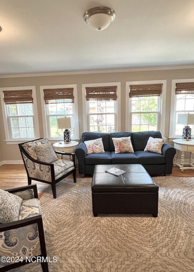 living room featuring wood-type flooring, ornamental molding, and a healthy amount of sunlight