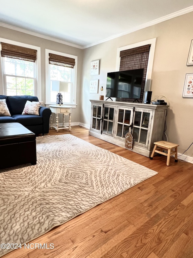 living room featuring ornamental molding and hardwood / wood-style flooring