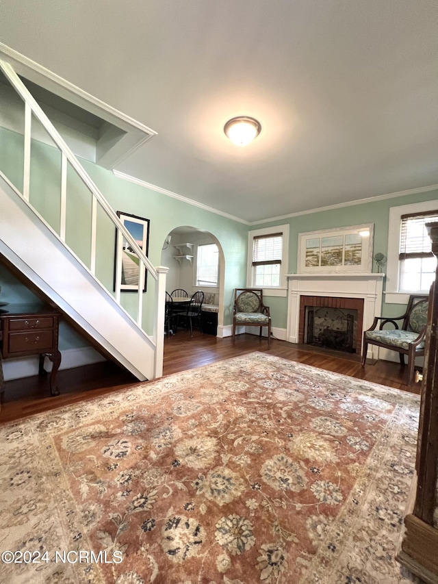 living room with crown molding and dark wood-type flooring