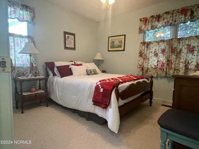 bedroom with light carpet